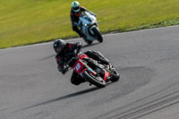PJ-Motorsport-2019;anglesey-no-limits-trackday;anglesey-photographs;anglesey-trackday-photographs;enduro-digital-images;event-digital-images;eventdigitalimages;no-limits-trackdays;peter-wileman-photography;racing-digital-images;trac-mon;trackday-digital-images;trackday-photos;ty-croes